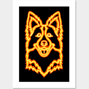 Neon Border Collie Posters and Art